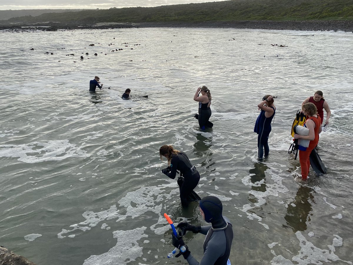 Natasha_Karenyi's tweet photo. Today our @BioSciUCT 2nd year #invertebrate students braved the large swell to try to collect #kelp for their project (safely). Though not successful today they learned how challenging it is to sample in the #marine #subtidal. Well done team!!!! @UCT_news https://t.co/Rs4iKy1wHw