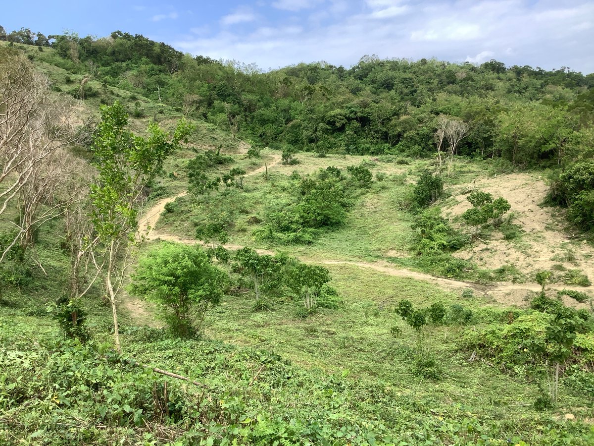 Fdt_LOccitaneFR's tweet photo. En 2022-2023, L'OCCITANE Taiwan soutient l'association YongZai Forestry dans son projet de gestion forestière durable. Ce projet vise à protéger et restaurer les forêts dans le comté de Pingtung à Taïwan. 
👉 https://t.co/Y13Ffq8IlN
#respectingbiodiversity #loccitanefoundation https://t.co/DSHLrbKSav