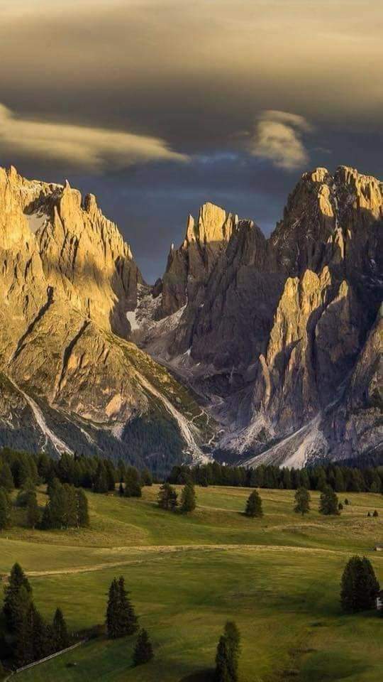 Servet53661335's tweet photo. Big things are the little things coming together."
#VanGogh
#Goodeveningworld🌏🙋♂️🌙#Tothenight🐕🦺🏡🐈
#Inpeace🌳🏘️🌲🌴
#Notoviolence⛔🙏🥰 https://t.co/d5yrSvyFnP