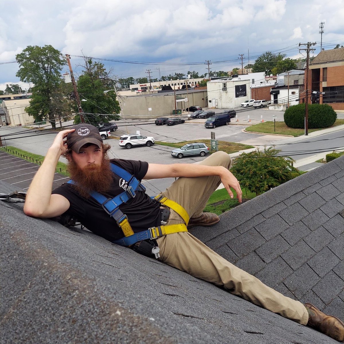 Sealing holes, trapping pests, fixing roofs, and striking poses - Our wildlife team does it all! Meet Richie, one of our wildlife experts.