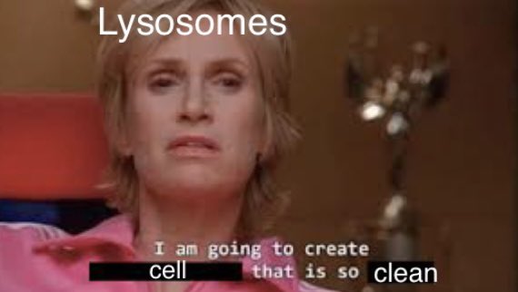 lysosomecmpgn22's tweet photo. #MHSOrganelleVote2022 #votelysosome #cleanupthecell https://t.co/rUgRblQYrL