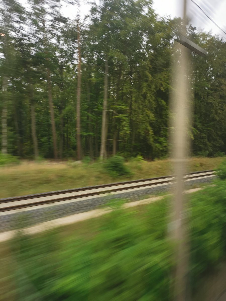 Beni Buess tweet media