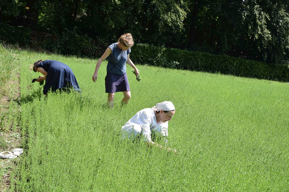 ArtEZUniversity's tweet photo. Onze Pascale Gatzen stond de Correspondent te woord over het Linen Project. Geen betere dag dan #DuurzameDinsdag om dit artikel delen. Ook hebben we al onze duurzame onderzoeksprojecten op een rijtje gezet. Gauw kijken! https://t.co/S11L22hEha #artchanges https://t.co/H3ezBKbn9i