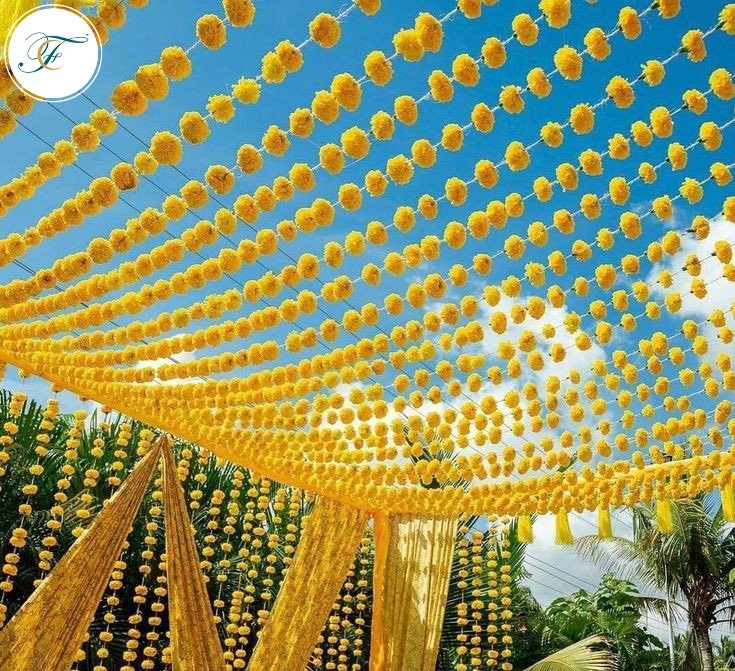 Haldi rasam is synonymous with colour yellow which is the theme of this decor! Contact today for more details

#fancyandclassy_in #haldi #haldiceremony #function #celebration #marigoldflower #movementcapture #decoration #decor #indianwedding #weddingplanner #enjoyment