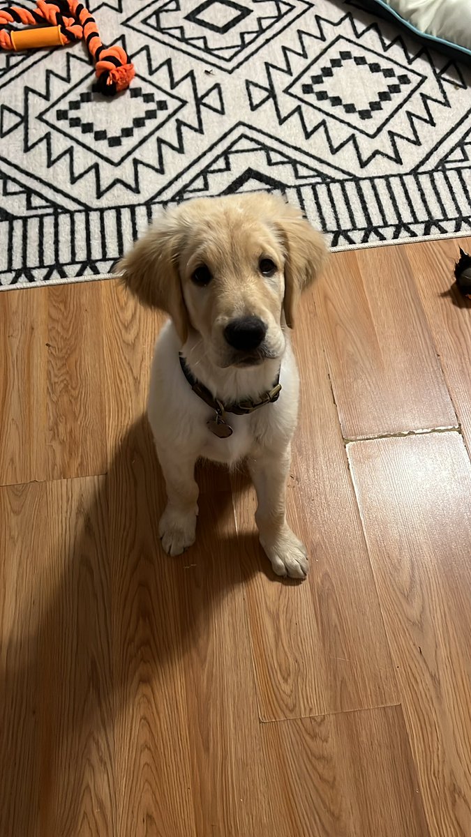 MallaryCaudill's tweet photo. The face of someone who protested this morning’s walk. Not pictured: also a face of someone who protested the workday 🥴 https://t.co/AiYHCrBUkS