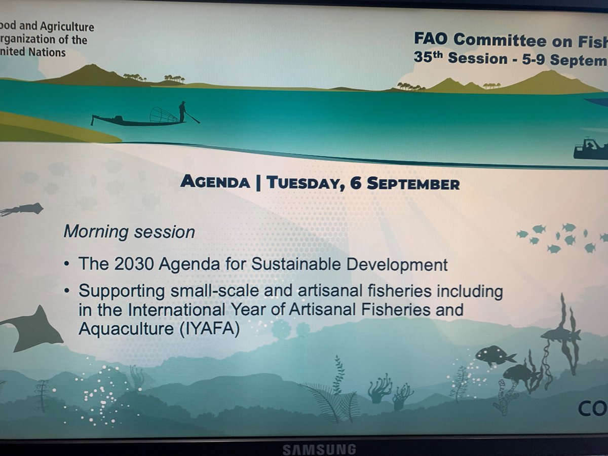 SSF_Nicole's tweet photo. #COFI35 - starting in 30 minutes - session on #smallscalefisheries and #IYAFA2022 - join us live: https://t.co/aI3MkviIKH  @FAOFish https://t.co/4LbSKUJ4Ci