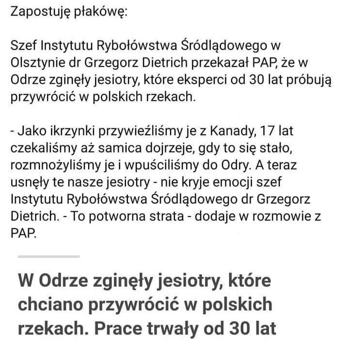 bingeshrex's tweet photo. Wyobraźcie sobie, że 30 lat waszej pracy idzie na marne od tak bo jacyś kurwa debile zanieczyściły Odrę. Nawet sobie nie potrafię wyobrazić co pan dr Dietrich i jego zespuł musi czuć w tym momencie… https://t.co/Ws7OOe8du3