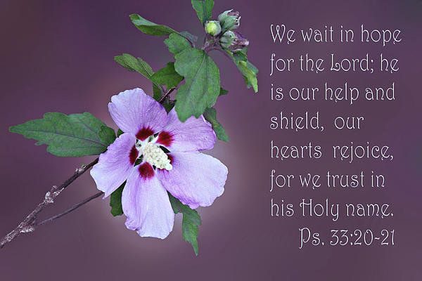 SayinWhatever's tweet photo. May Your light of Hope never grow dim in Us. We remain Hopeful and have Faith You will Bless Us with a Miracle &amp; Help Us bring Ray &amp; Jesse Home. Dear Lord Please Let it be Today. Thank You Lord. 🙏💔💔🙏😭😭🙏#FaithInGod  #waitinhope #GodWillMakeAWay #RIPBrian #foreverinourhearts https://t.co/ZhSWLGlYZ7
