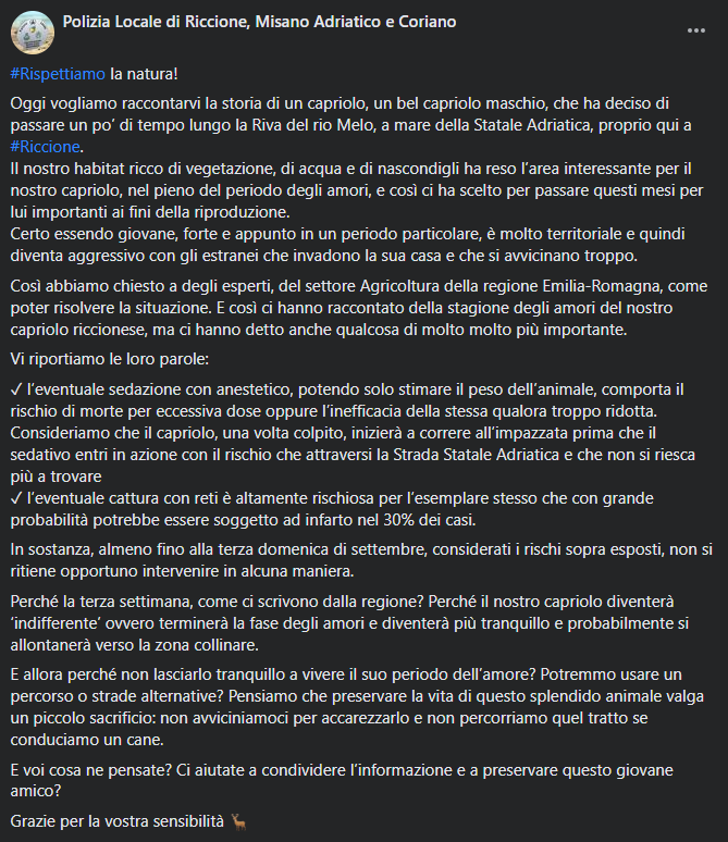 Polizia Locale di Riccione, Misano e Coriano tweet media
