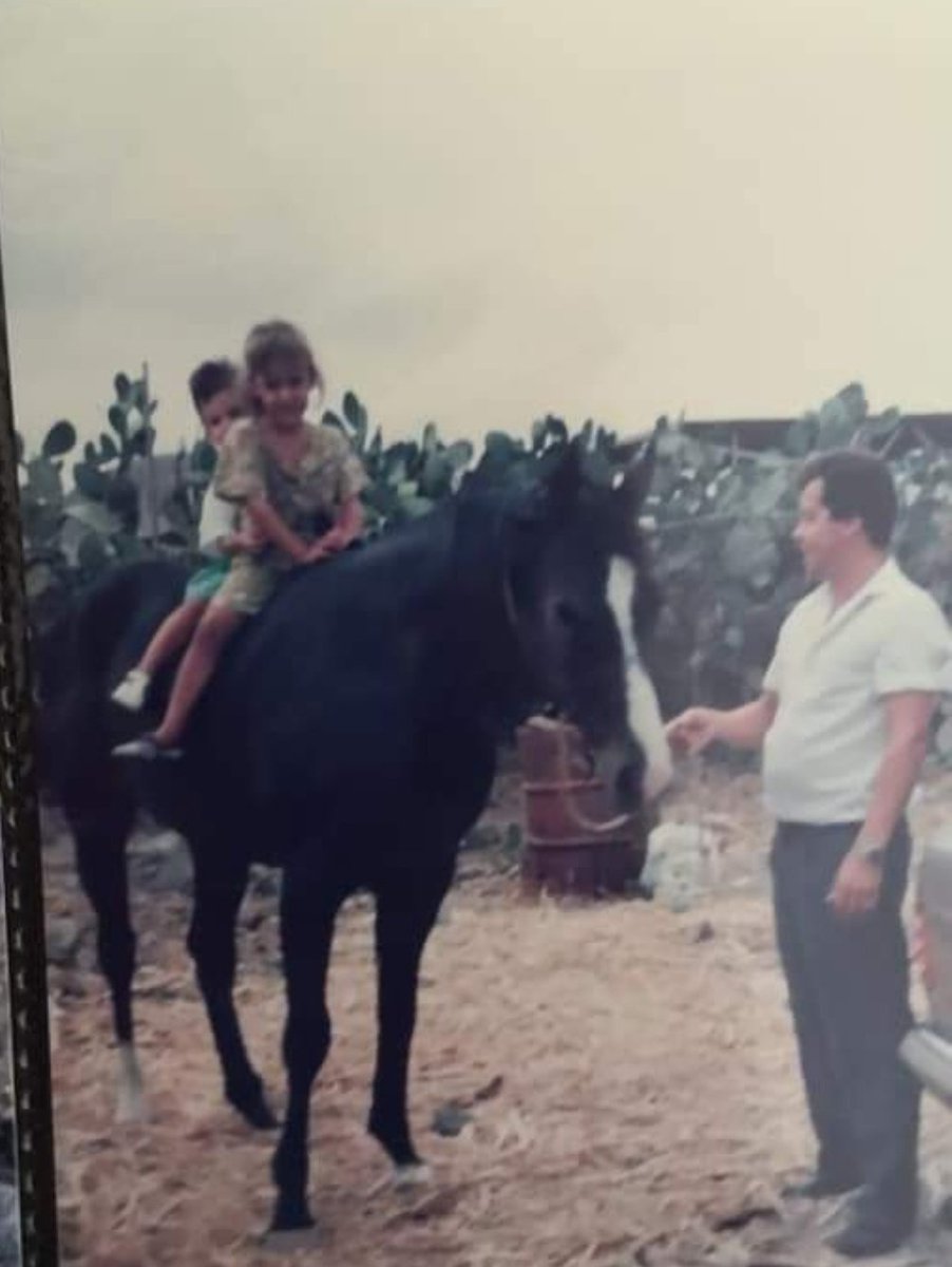 Diazvieraingrid's tweet photo. En los momentos no tan buenos, me gusta recordar eso que tan feliz me ha hecho desde niña 🐎
#Oroel #Arahal #Bencomo #Corsario @DiazmorCuadra https://t.co/39ZjeehOeK