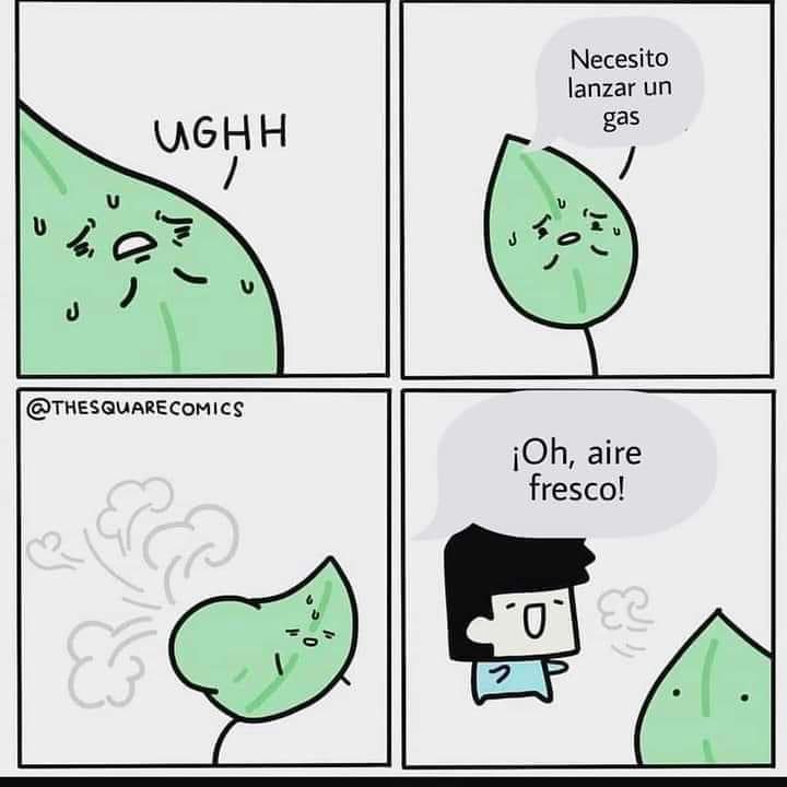 EnsedeCiencia's tweet photo. En fin, la fotosíntesis 😬 https://t.co/tjFsl09Fty