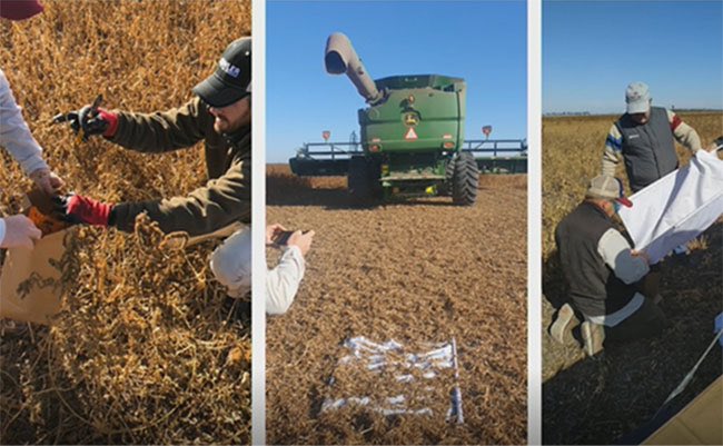 Agroverdad tweet media