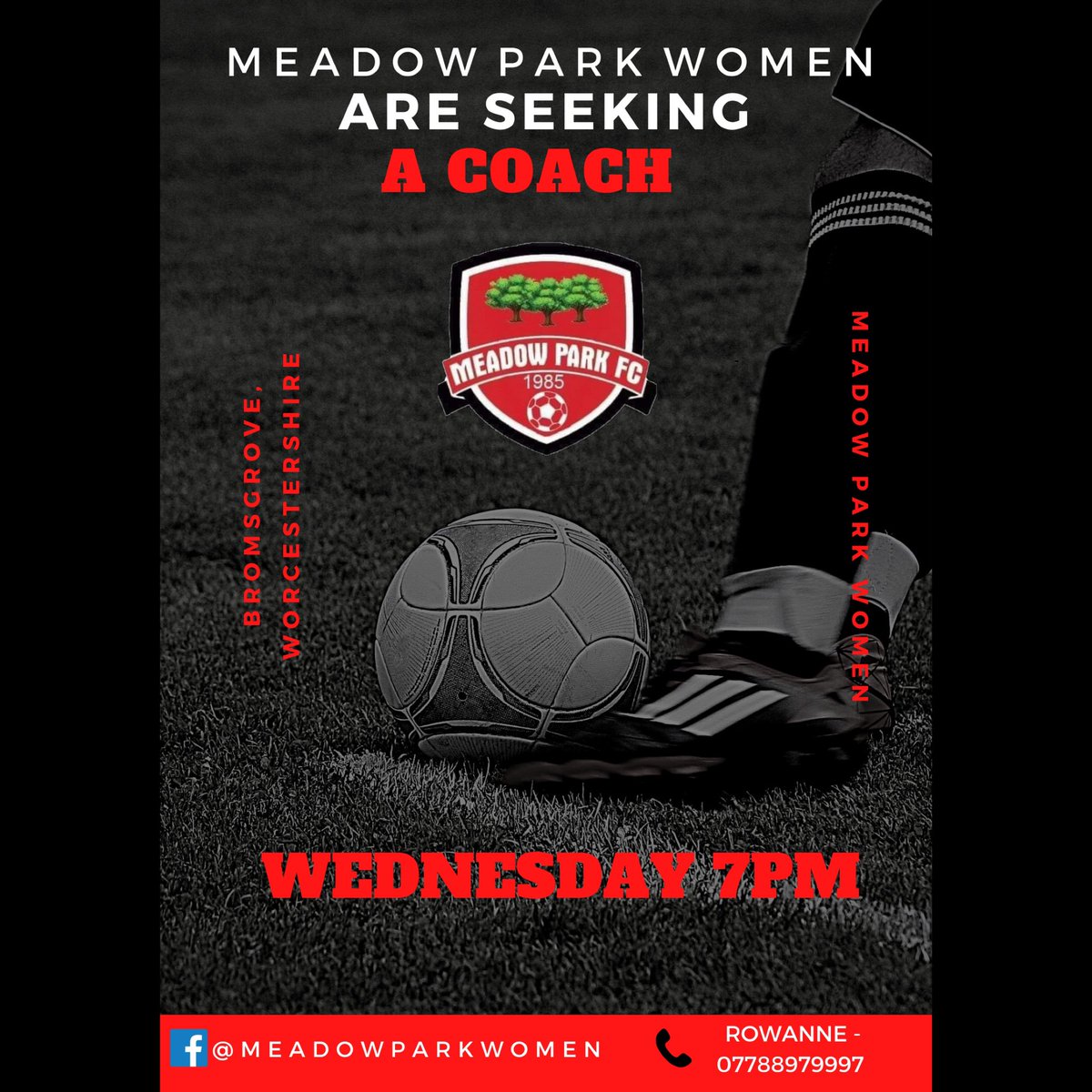 Meadow Park Women FC tweet media