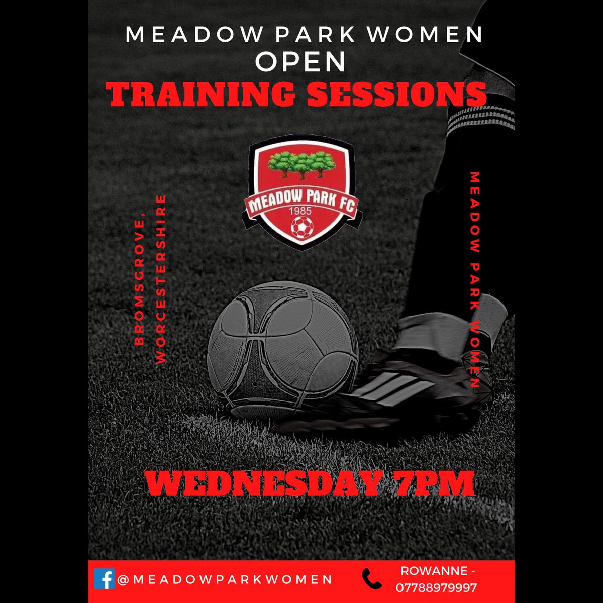 Meadow Park Women FC tweet media