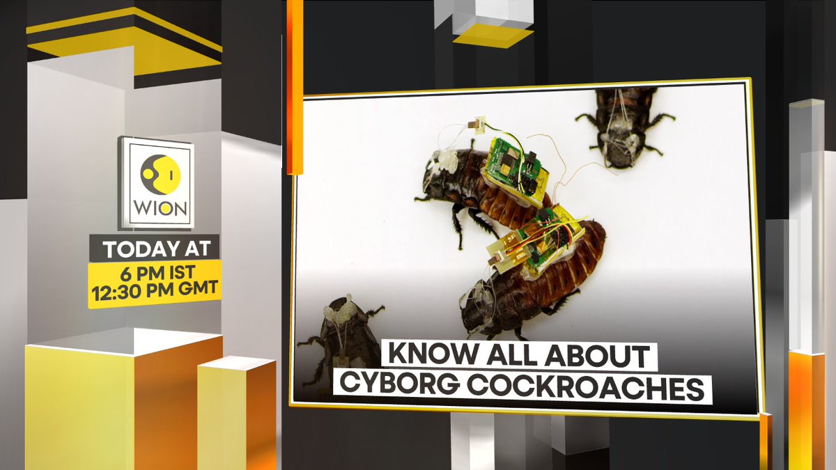WIONews's tweet photo. Know all about #cyborgcockroaches
Full report at 6 pm IST
LIVE TV: https://t.co/OxEFGlewjf https://t.co/4CcD4nQUWa