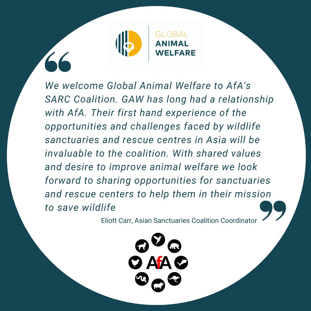 welfare_global's tweet photo. We are thrilled to become a member of @AsiaforAnimals Sanctuaries and Rescue Centers Coalition (SARCC): https://t.co/5YGoWpCtTm
#Asia #sanctuary #rescuecentre #rescuecenter #promotingbestpractice #capacitybuilding #opportunities #animalwelfare #workingtogether https://t.co/VvXa9WCdKc