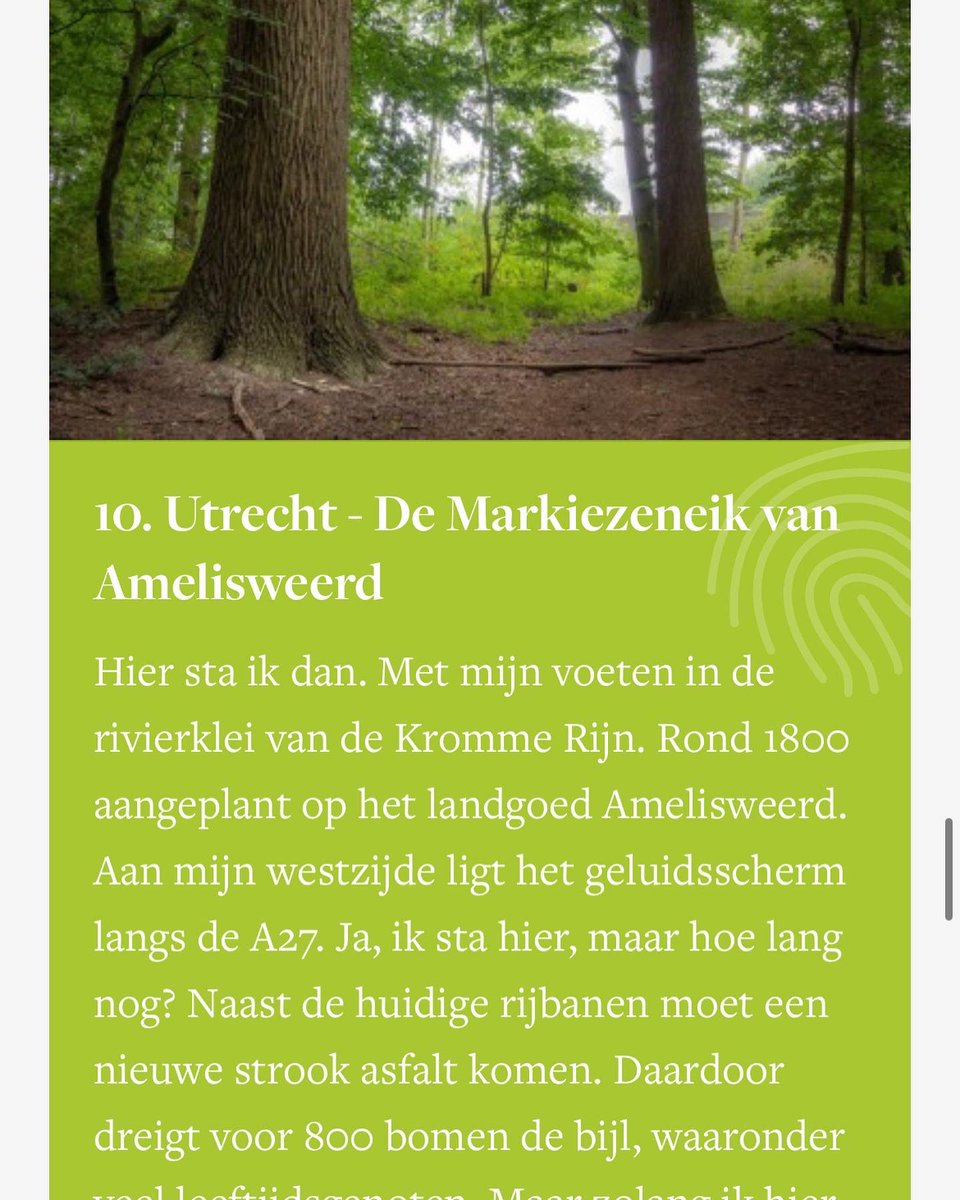 Een eeuwenoude eik in ons bos op #Amelisweerd is gekozen tot Utrechtse Boom van het Jaar! Doe mee en stem om deze boom, #symboolvanverzet tegen de verbreding van de A27, tot Boom voor heel Nederland te maken. Stem via deboomvanhetjaar.nl , boom nr. 10. Bevestig daarna je stem