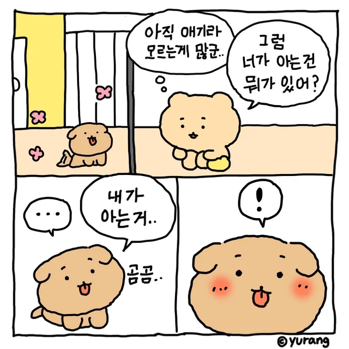 강아지의 언어 (2/3) 