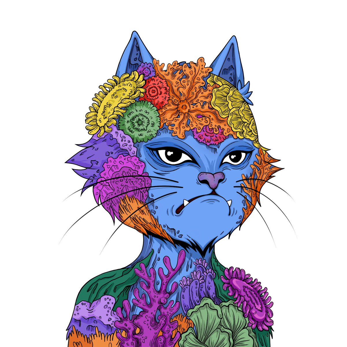 Angry Cat tweet media