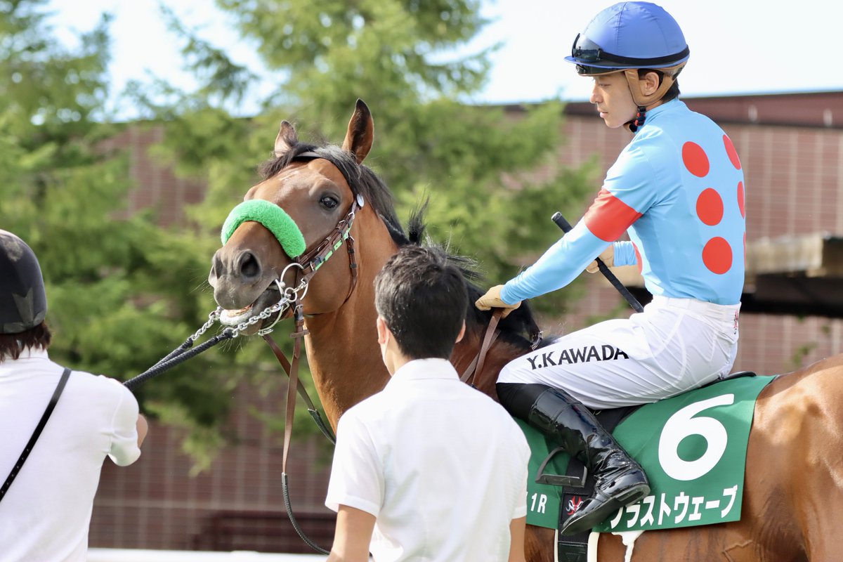 brilliant8blue's tweet image. かわいい💚
#ブラストウェーブ
#大竹厩舎
#川田将雅 騎手
#札幌2歳ステークス
#札幌競馬場
#20220903