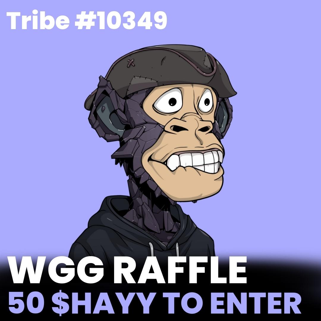 Goat Gang New $Hayy Raffle 🎁 Feat. 
<a href="/tribeodyssey/">Tribe Odyssey</a>

Floor sitting at 0.07 Ξ ⚡

TO JOIN:
- Stake your WGG goat 🐐
- Own raffle tickets in our marketplace 🐐
- Instantly enter to win 🐐

opensea.io/collection/wil…

Winners to be announced Wed Sept 7th eve. #NFT #NFTCOMMUNITY