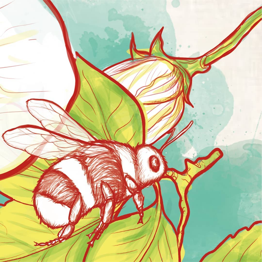 _VINGLISH's tweet photo. Did you know that an orchard's ability to provide habitats for pollinators is estimated to be 4 times greater than that of field crops, particularly cereals?
#drinkmoreapples #calvados
Read more:
https://t.co/nnBsQZzqgo https://t.co/kIihnxv12o