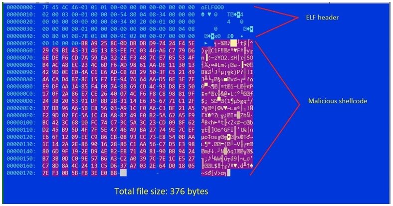 shablolForce's tweet photo. Shikitega - New stealthy malware targeting Linux. 
Main dropper is an ELF file with only 376 bytes, exploits system vulnerabilities for root access, and abuse legitimate cloud services to host its C&amp;C
https://t.co/Q8AjwQXeJq

#infosec #cybersecurity #exploit #linux #malware #iot https://t.co/aIM0CESh1i