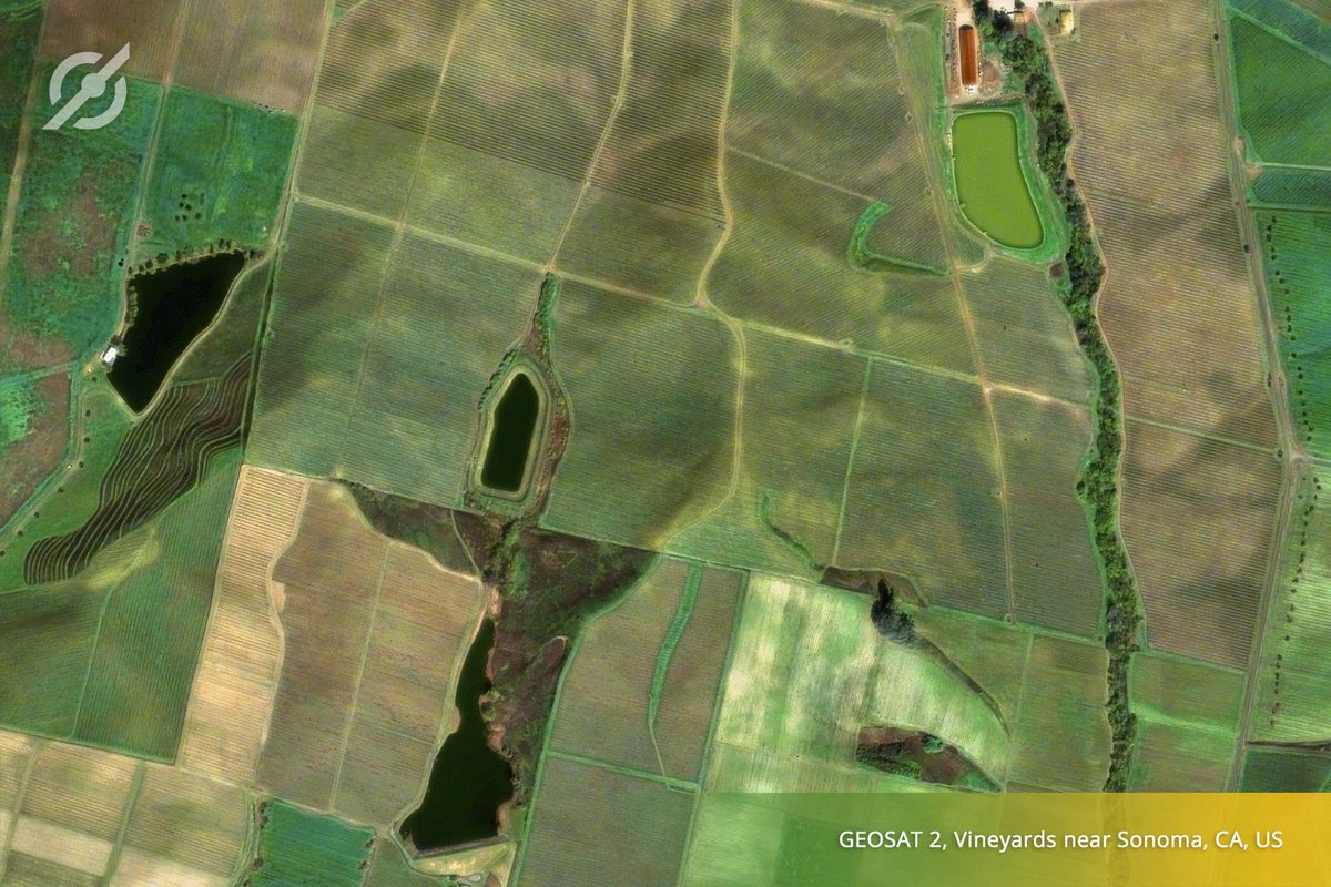 geosat_space's tweet photo. #GEOSATSeries - #AGRICULTURE - Vineyard monitoring near Sonoma, #California
#GEOSAT2 #PrecisionAgriculture #farming #vineyards https://t.co/WCCtnxazaf