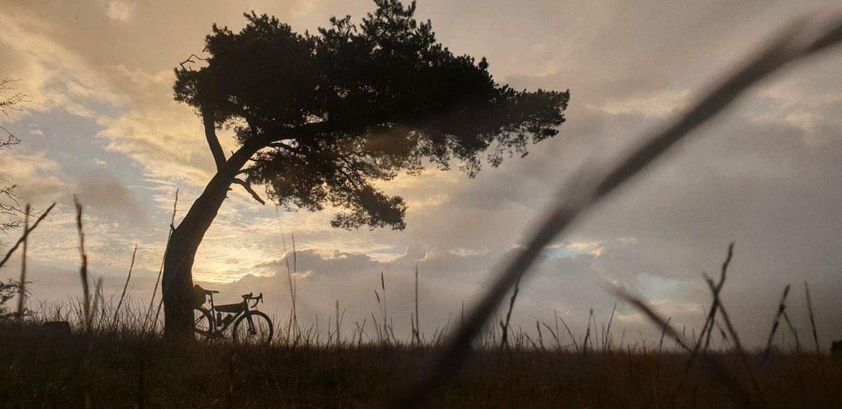 MyBikeAdventure's tweet photo. Commutes count! This morning I had fun chasing rainbows 🚲🥳 #Cycling #BrumByBike #MyCommute #FunOnTwoWheels https://t.co/buz0GouJqM