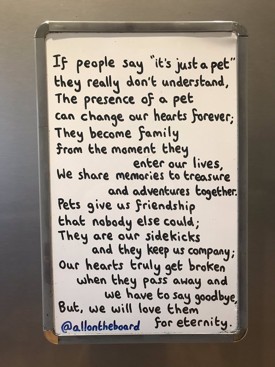 allontheboard's tweet photo. If people say ‘It’s just a pet”, they really don’t understand. 

#Pets https://t.co/nYBSlgutiL
