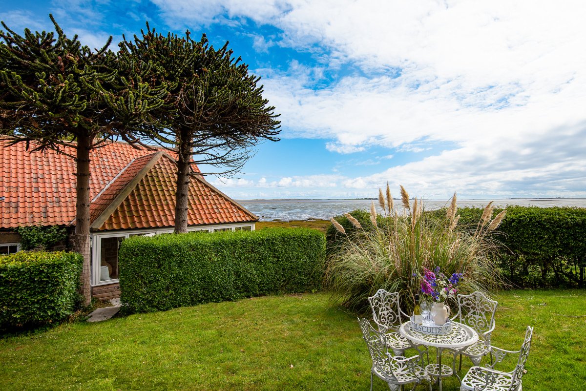 TheHolidayCots's tweet photo. Overlooking Lindisfarne Bay and with panoramic views of Holy Island, The Mill House self-catering has one week available starting the 15th of October.
🛌Sleeps 1-8
https://t.co/RHwrfnyJGM
#Fenham #BerwickuponTweed #Northumberland #HolyIsland #SelfCatering #OctoberDates https://t.co/ceFWU3RMuC