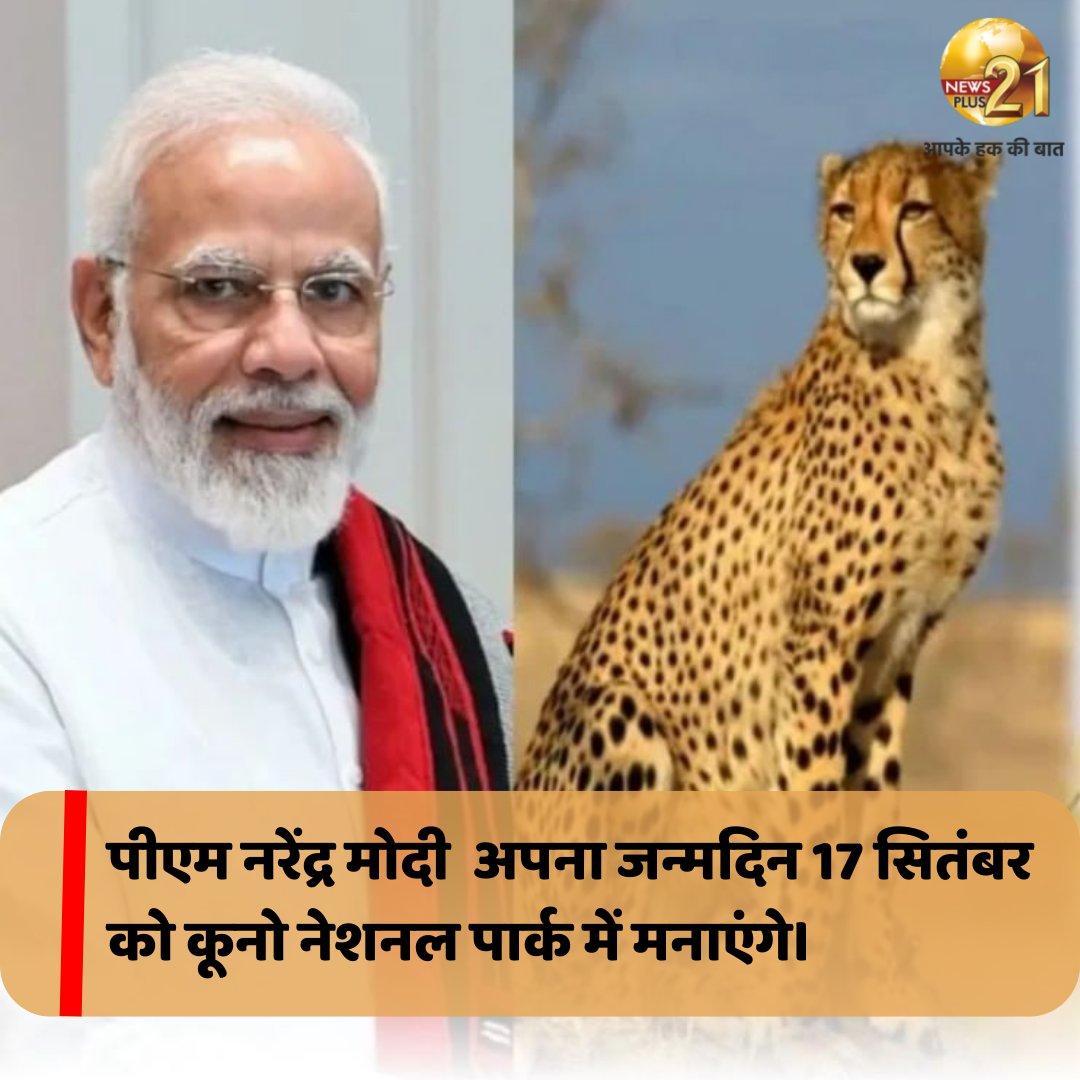 NewsPlus_21's tweet photo. पीएम @PMOIndia  जन्मदिन 17 सितंबर को कूनो नेशनल पार्क में मनाएंगे।

#pmmodi #narendramodi #birthday #madhyapradesh #shivrajsinghsinghchouhan #chhetah #hindinews #newsplus21 https://t.co/M8RdPPclag
