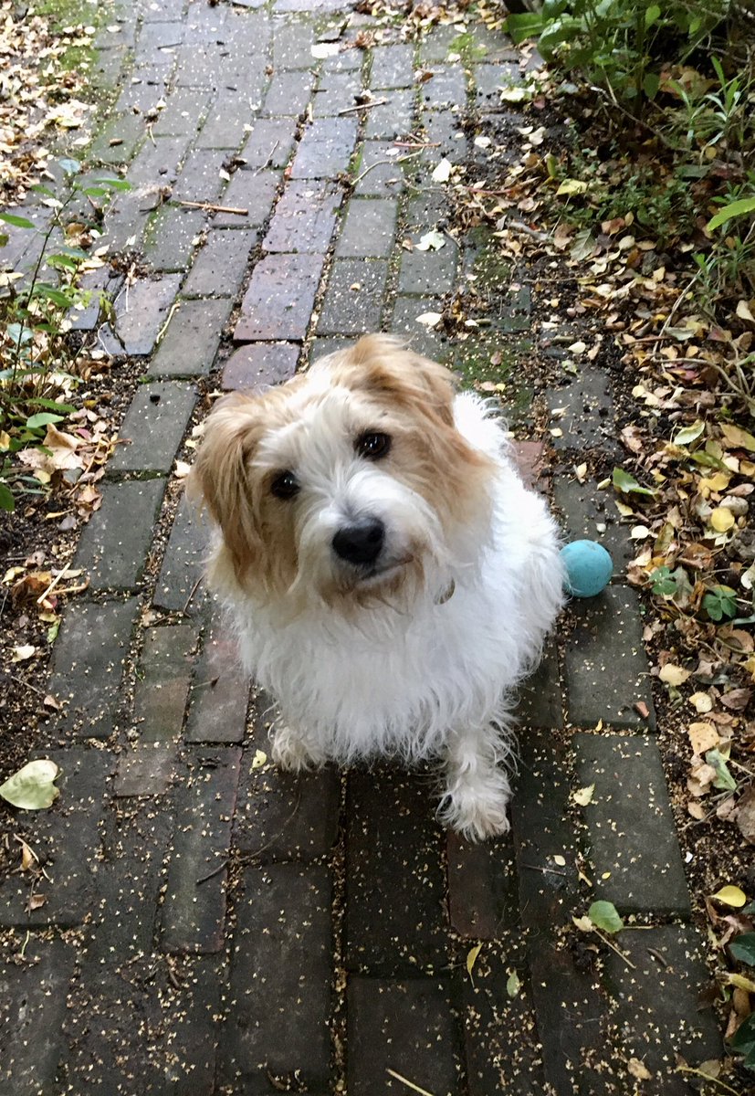 Hazel Archer tweet media