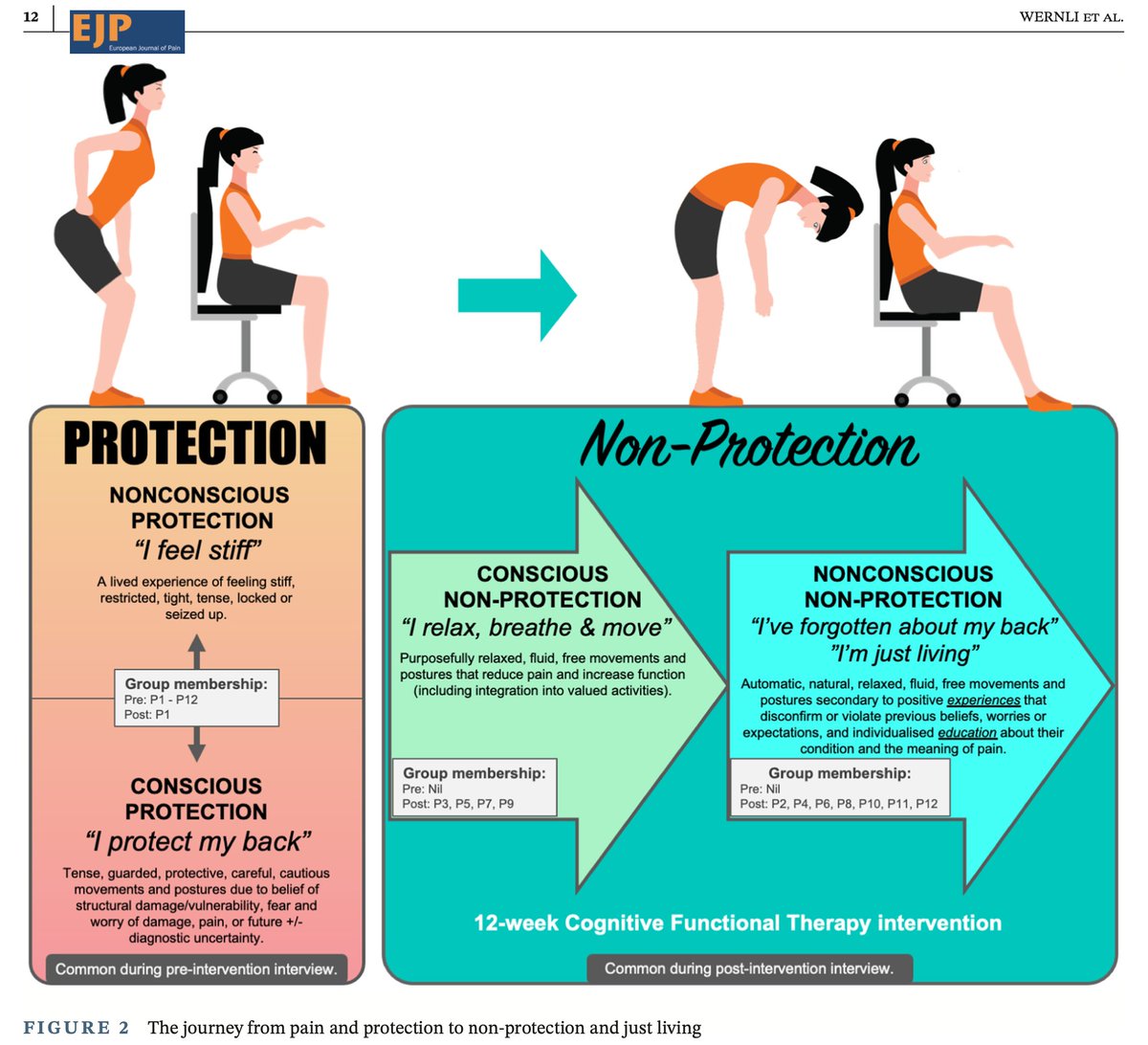 Kevin Wernli (@kwernliphysio) on Twitter photo Fresh off the press!
From protection to non-protection: A mixed-methods investigation into movement, posture & recovery from LBP
A huge thanks to the people's journey we got to capture & the incredible support from the author team!
doi.org/10.1002/ejp.20… <a href="/PeteOSullivanPT/">Peter O'Sullivan</a> 1/8 Fresh off the press!
From protection to non-protection: A mixed-methods investigation into movement, posture & recovery from LBP
A huge thanks to the people's journey we got to capture & the incredible support from the author team!
doi.org/10.1002/ejp.20… <a href="/PeteOSullivanPT/">Peter O'Sullivan</a> 1/8