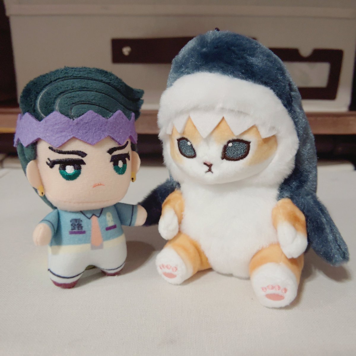 me28me_0's tweet photo. おでこギザギザおそろいカワイイね…🦈 https://t.co/w9xI9L4552