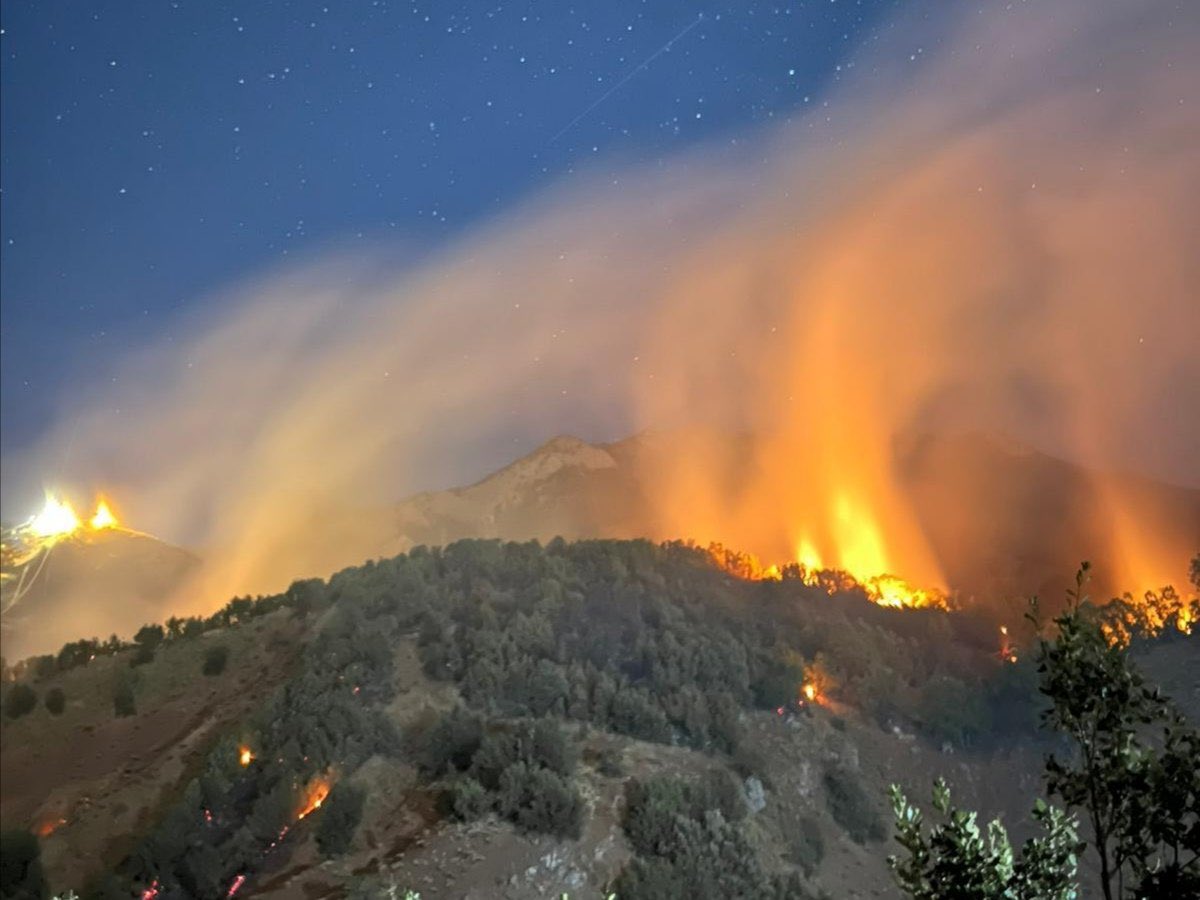 Doğa'ya düşman, içinde yaşayan Binlerce canlıya düşman, insana düşman, güzel olan her şeye düşman. 
ALLAH BELANIZI VERSİN. #DersimYanıyor