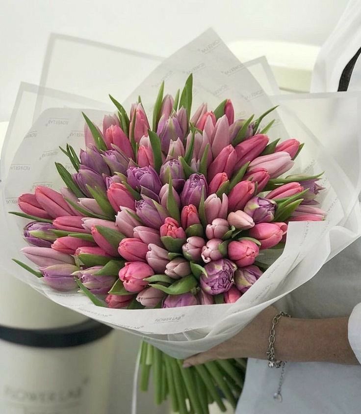300moods's tweet photo. 🌷💖 flowers is a love language https://t.co/bgQXgSM7Zh