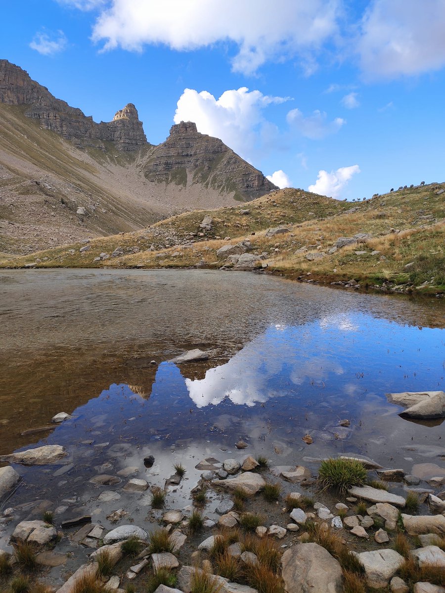Explore Nice Côte d'Azur tweet media