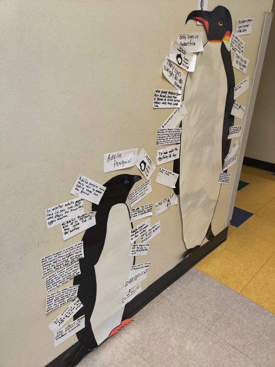 kboyceq's tweet image. Forgot 2 share @PineyElem last week's get Ms. Boyce ready 4 #Antarctica mission progress! 3rd/4th grade penguin patrol researched &amp;amp; added Adelie penguins to the map/ gallery &amp;amp; 5th grade shared their learning on Mt Erebus!
@LindbladExp @NatGeoEducation #GTF2020 #ExplorerEducator