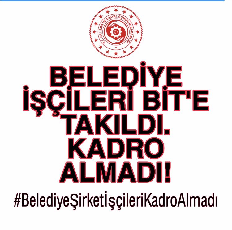 cigdemilhan tweet media