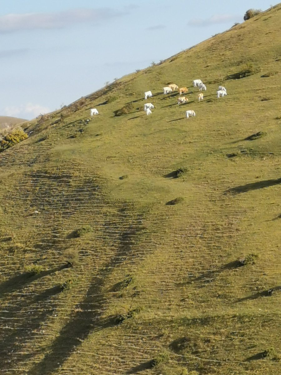 storicozundapp's tweet photo. La fantastica #strada #Assergi #Campotosto #Abruzzo #Zundapp https://t.co/4olwxgUjMM