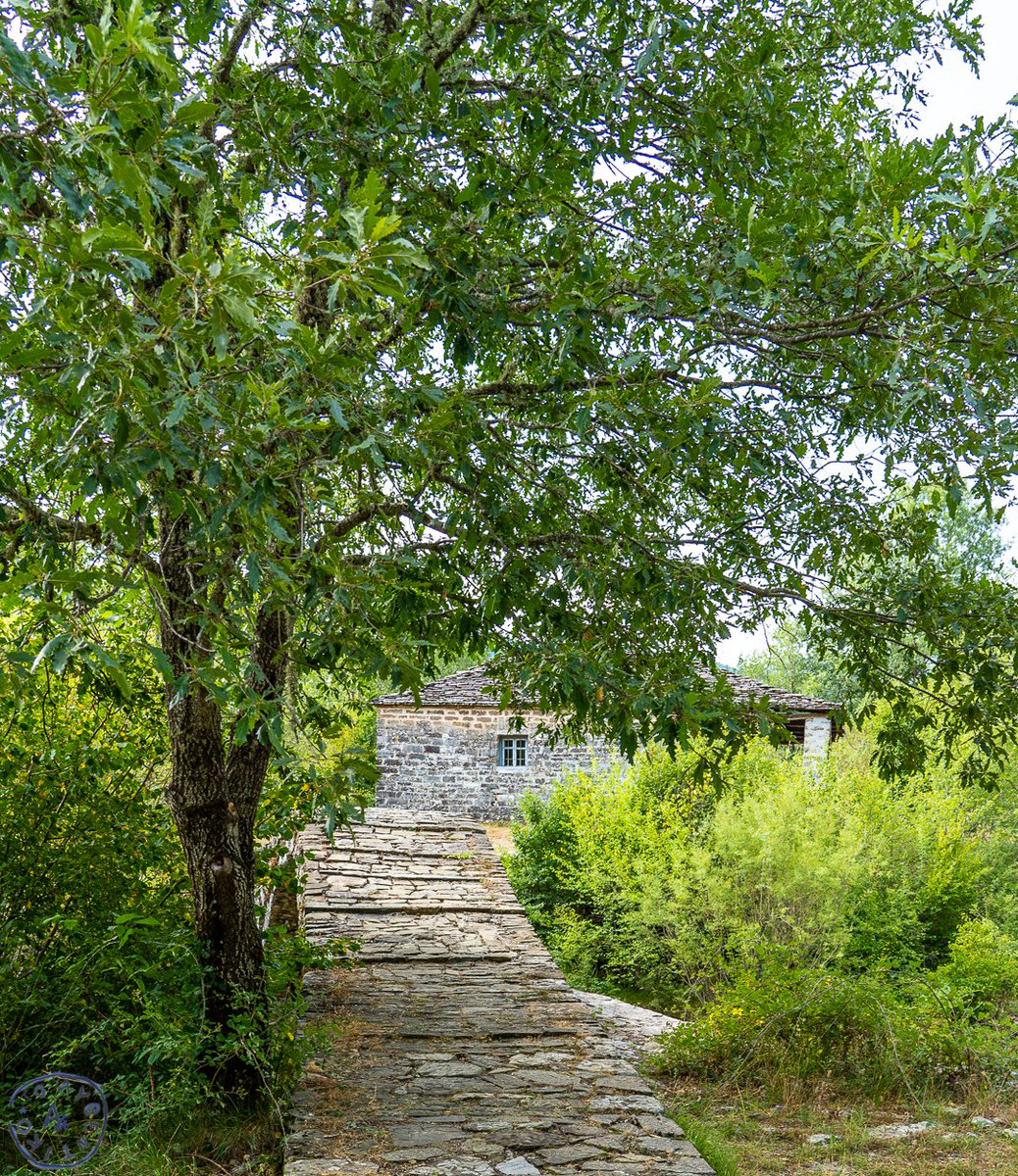 ToAuthentiko's tweet image. Ταξιδεύοντας προς το #Δίλοφο_Ζαγορίου βλέπεις κοντά στο δρόμο ένα πολύ όμορφο - #αυθεντικό τοπίο σαν εικόνα παραμυθιού! 

Ένα γεφυράκι δίπλα από ένα δέντρο  που οδηγεί σε ένα εκκλησάκι , αυτό του #Άγιου_Μηνά. 

Μια καλή ευκαιρία να κάνετε μια στάση για να  το περπατήσετε.