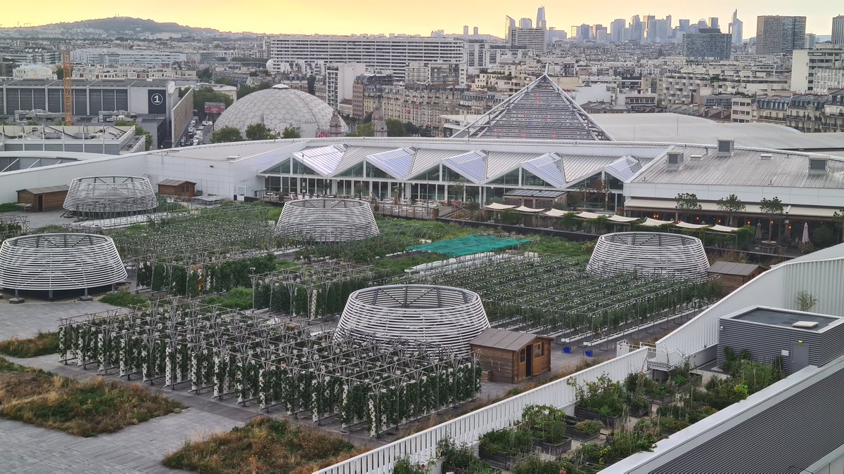 Nick Dugdale-Moore tweet media