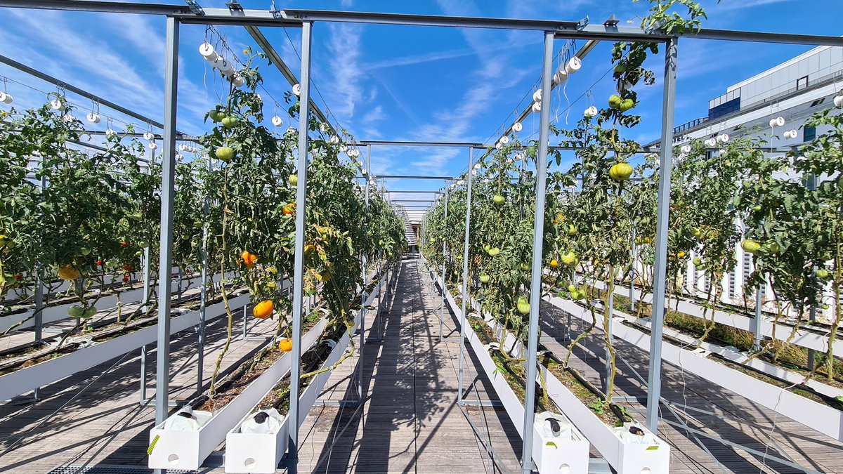 Nick Dugdale-Moore tweet media