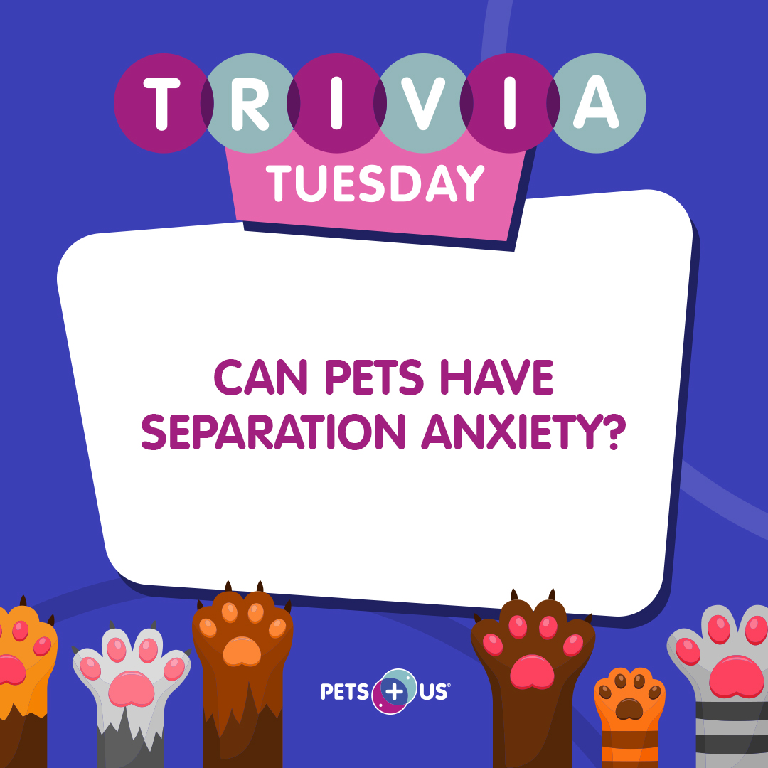 #Win a $25 PetSmart gift card! To enter, answer the question, retweet this post and follow @PetsPlusUsInsby 11:59PM EST. Open to Canadian &amp; US residents (excluding QC). This contest is not sponsored, endorsed, administered by or associated with Twitter. bit.ly/3MzbWVZ