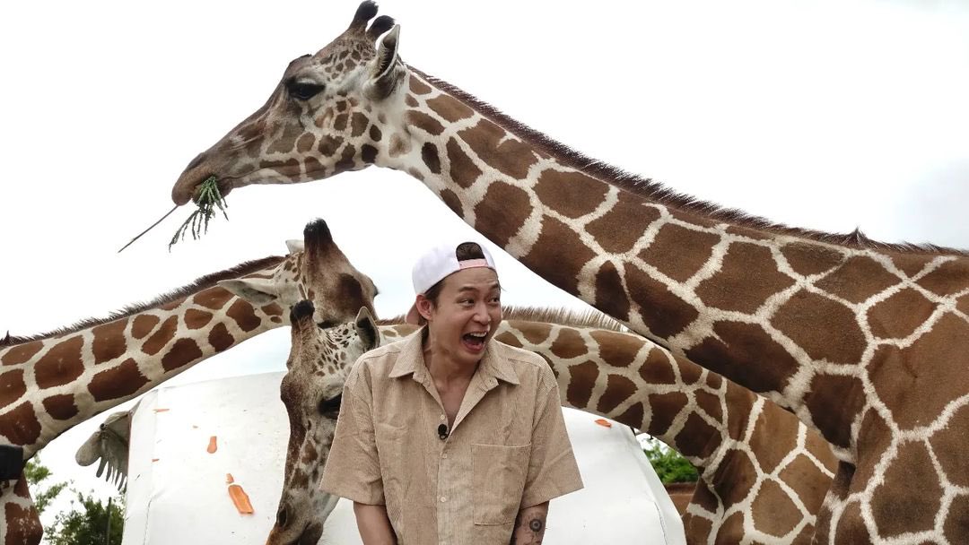 Bubbly_is_me's tweet photo. YC: Animals are scarier than I thought, but it was fun.

BABY 👶 A SUPER ADORABLE one! ㅋ
The test broadcast was not as smooth, hope it will be improved by tomorrow. Or.. was it just me?! 🤔

#YUCHUN_SIGNAL #logbooktv #ParkYuchun #Yuchun #Yoochun #박유천 #ユチョン #朴有天 #ยูชอน https://t.co/BC3FYcKofh
