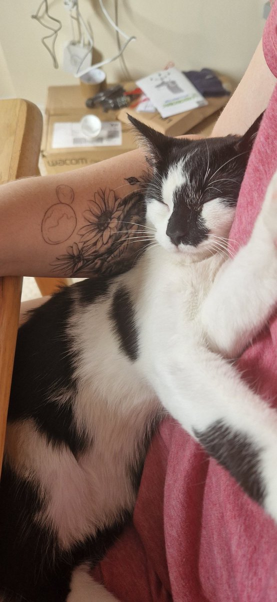 weenieonthings's tweet image. Weenie on mummy