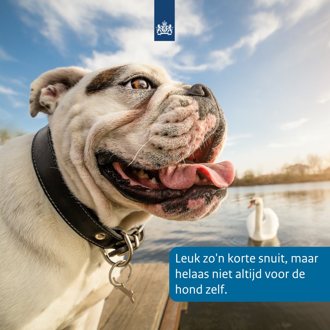 RVO Agrarisch tweet media