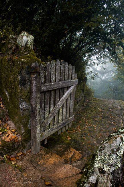 Sager_MSL's tweet photo. #photo #beauty #treephotography #oldgate https://t.co/EXx42Mosa1