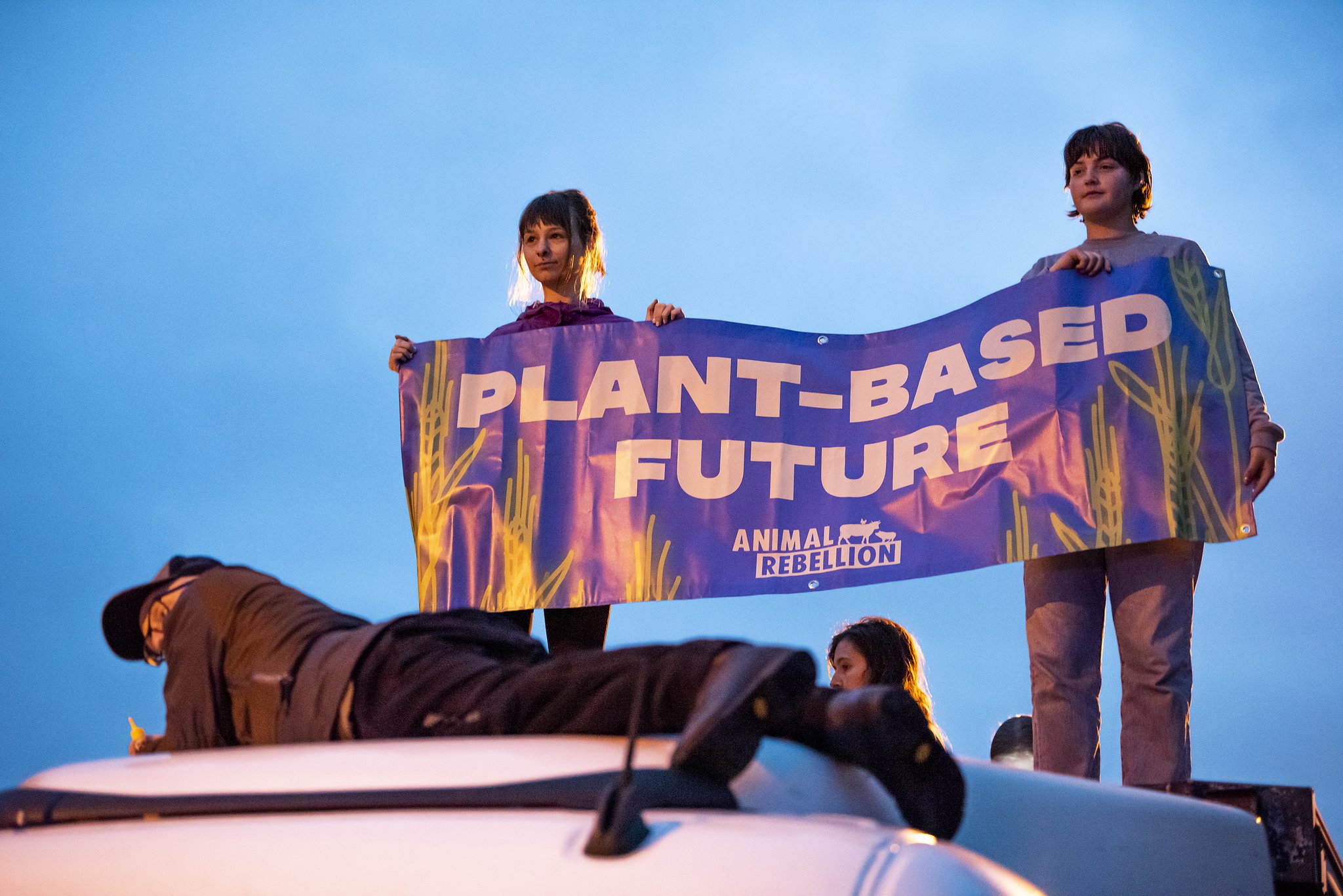 Animal Rebellion (RebelsAnimal) / Twitter